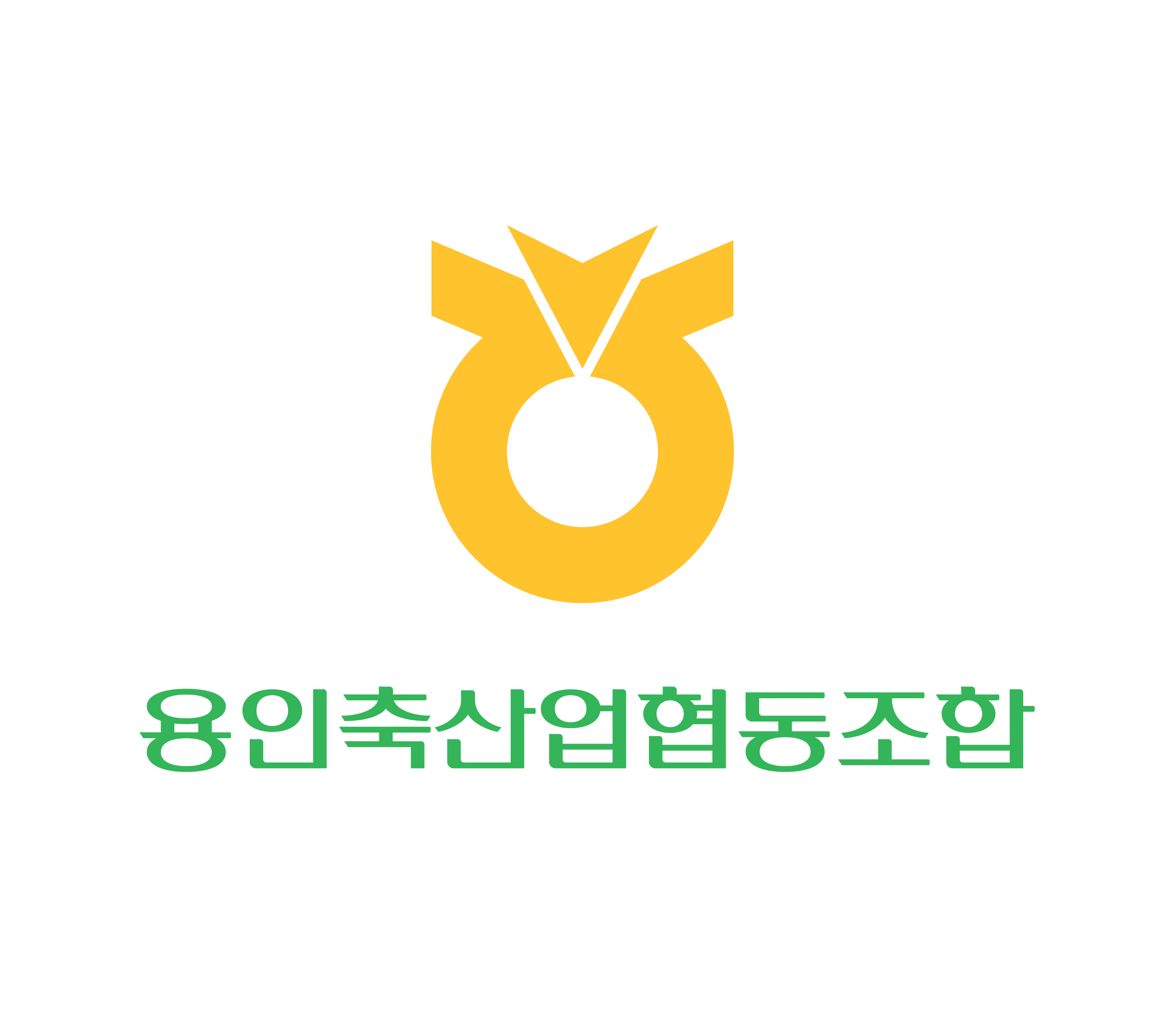 [ 용인축산업협동조합 ] 한우뿌리농가 대상 암소개량 교육 실시